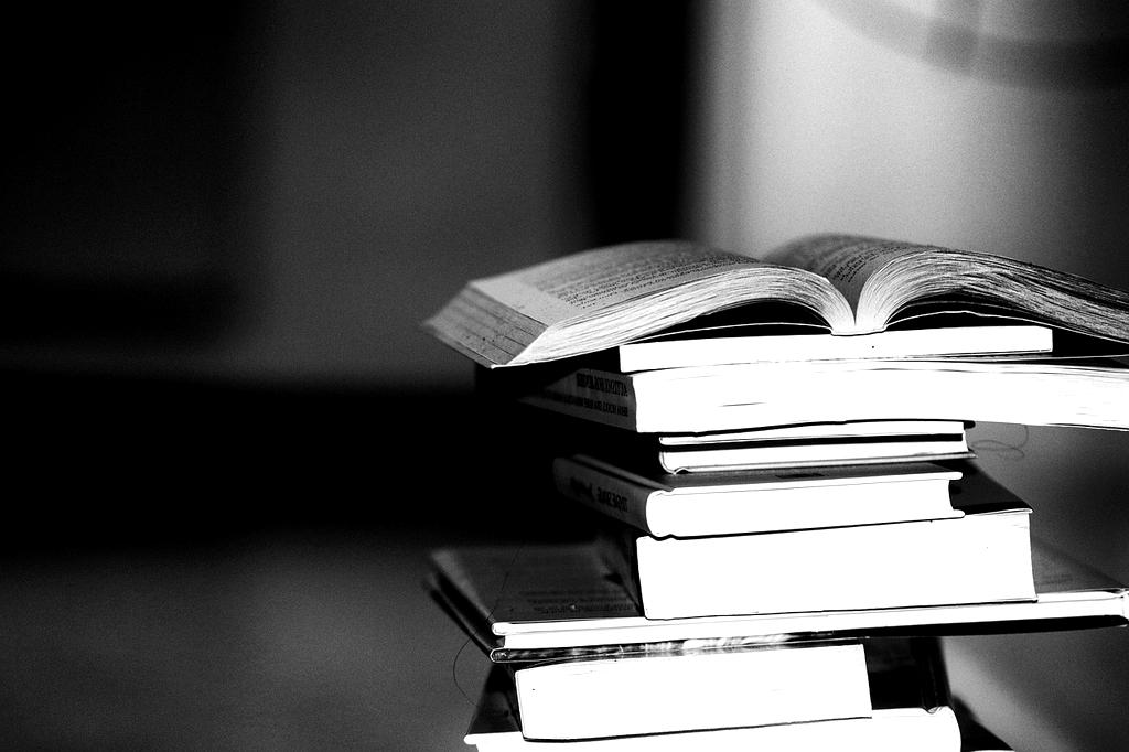 E-book cover titled Sustainable Habits Blueprint