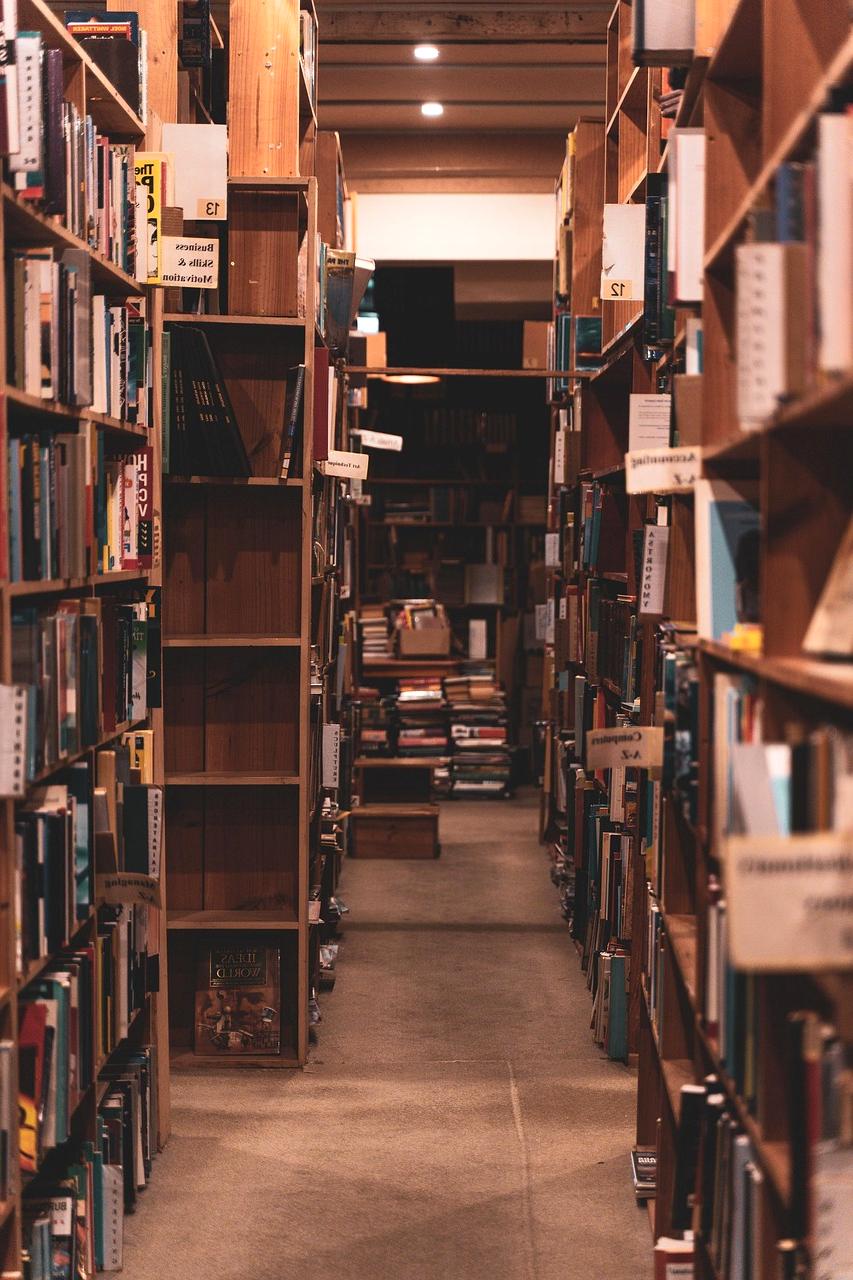 Elena's profile photo