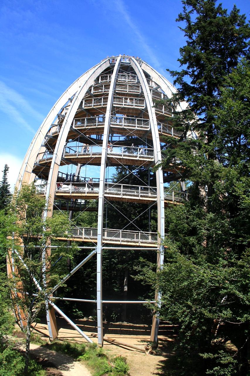 Profile photo of Laura Schmidt, Co-Founder and CEO